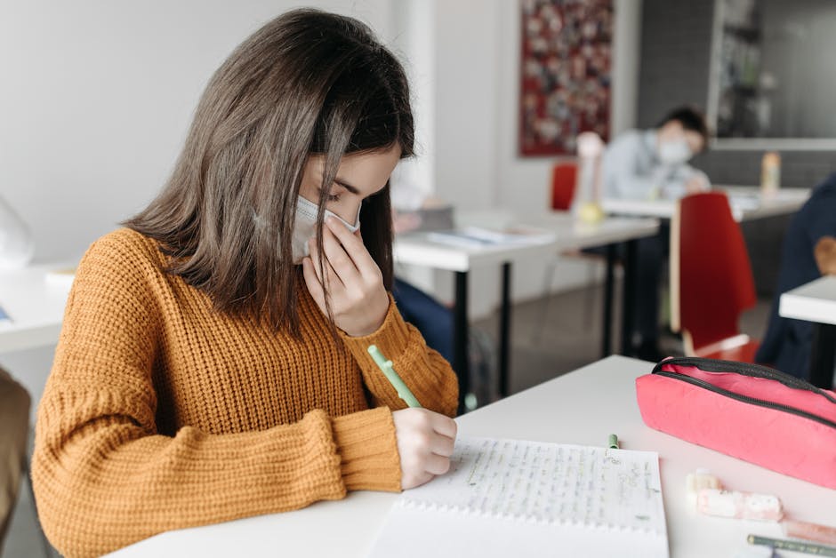 Craiova pregătește școlile pentru un nou an academic