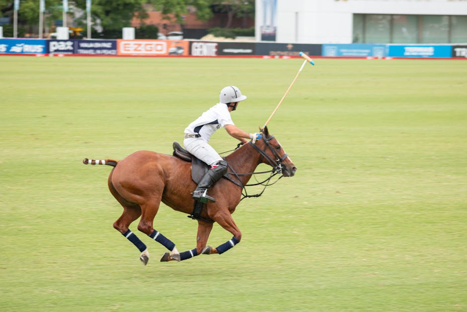 Caii modificați genetic din Argentina: o revoluție în sportul de polo?
