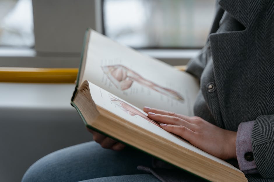 Elevii se bucură de bilete și abonamente gratuite pentru trenuri în 2025-2026