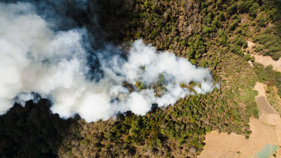 O nouă noapte de atacuri cu drone în Bila Tserkva: victime și distrugeri