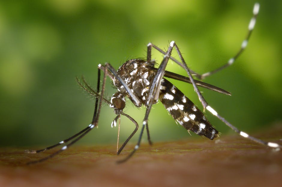Creșterea alarmantă a cazurilor de virus West Nile în România