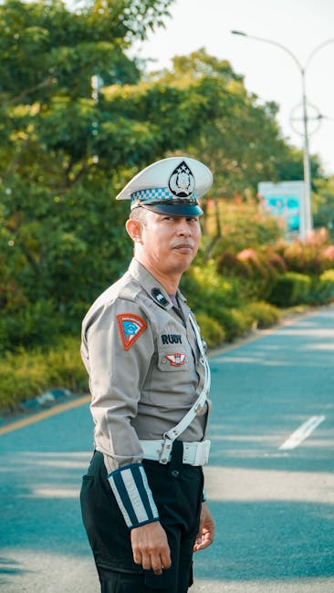 Poliția Suceava publică bilanțul verii: amenzi record și o scădere a accidentelor rutiere