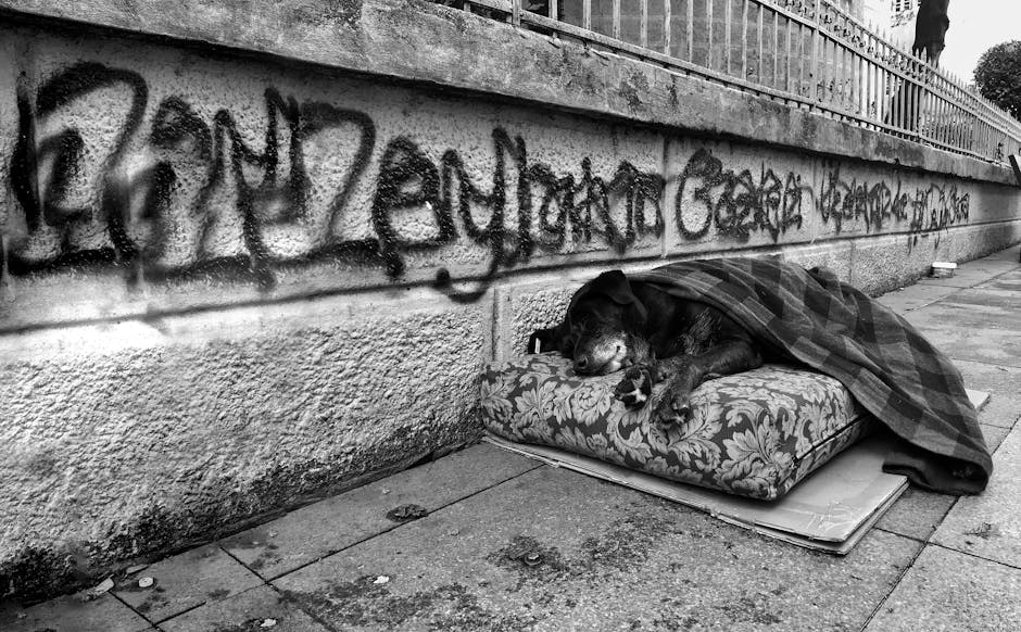 Imagini tulburătoare: un pui de câine abandonat într-o benzinărie din Făgăraș