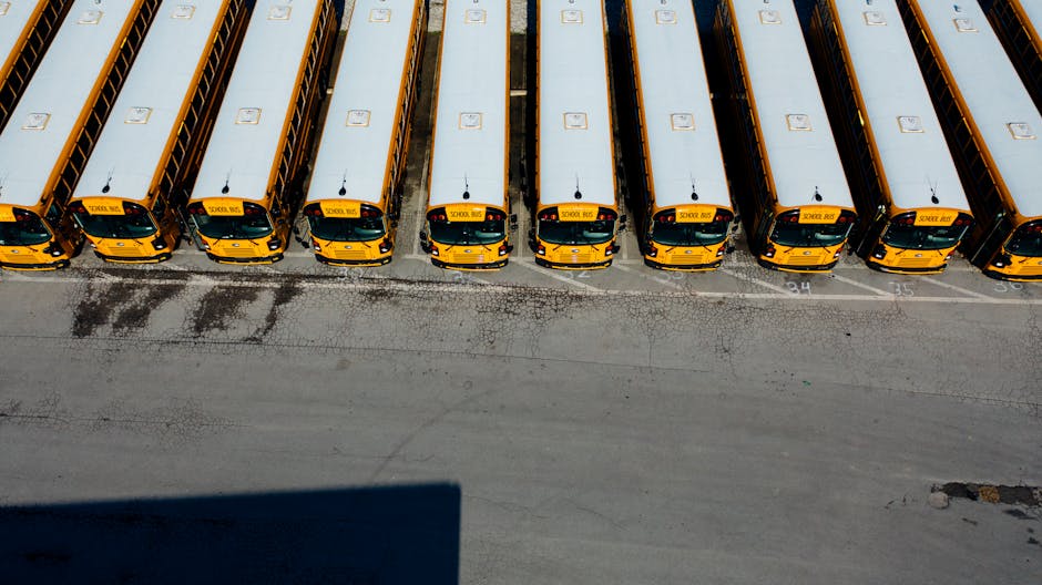 Transport gratuit pentru elevi la Cluj: un pas important pentru educație
