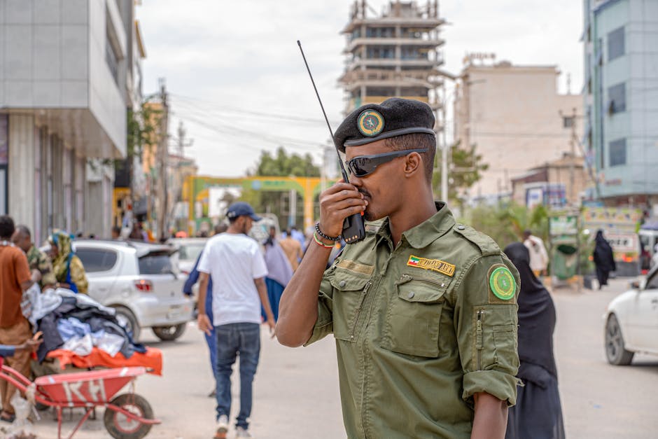 Oportunități de angajare în Olt: Școală, primărie și unitate militară caută candidați