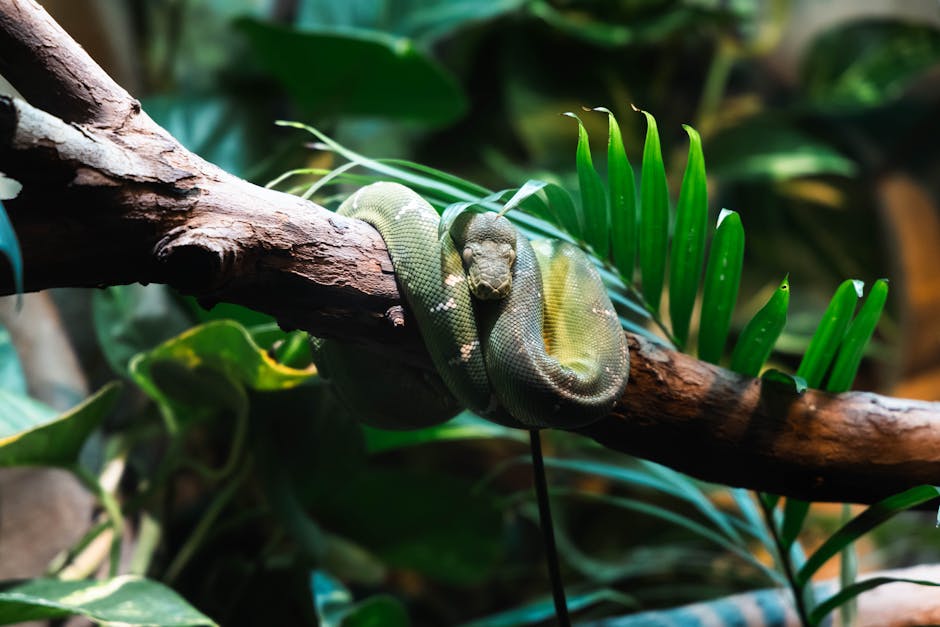 O pasăre rară a fost surprinsă în Munții Rodnei, un semn al biodiversității