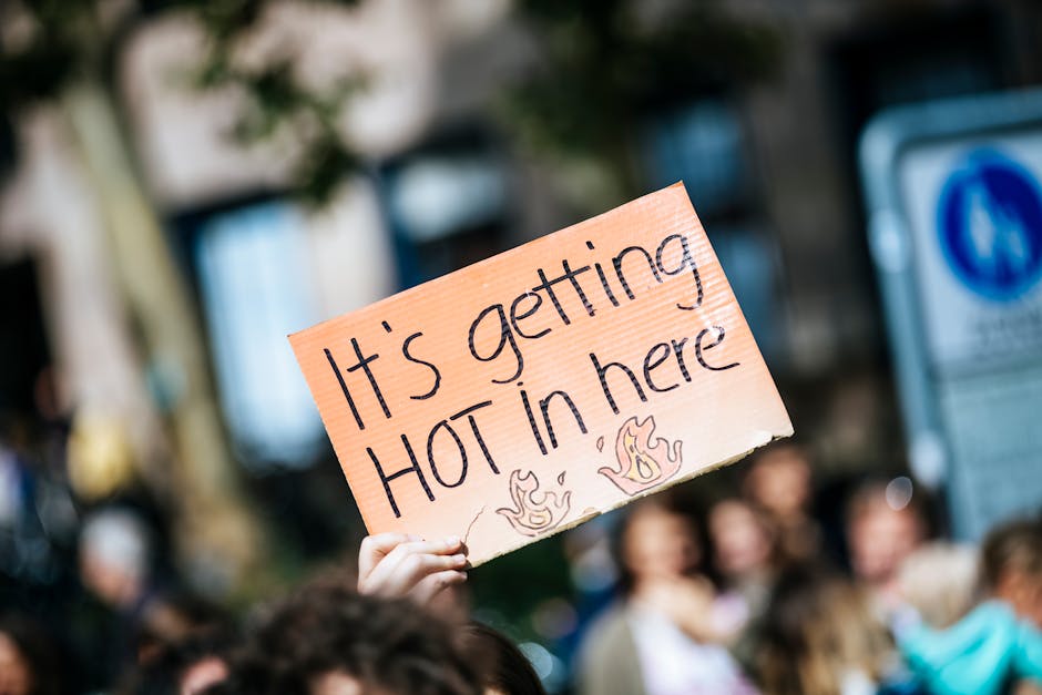 Alertă de caniculă: județele Satu Mare, Bihor și Arad se pregătesc pentru temperaturi extrem de ridicate