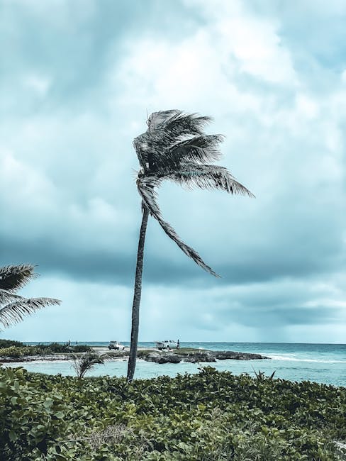 Furtuna tropicală Lorena devastează coastele Mexicului: rafale de vânt și valuri uriașe