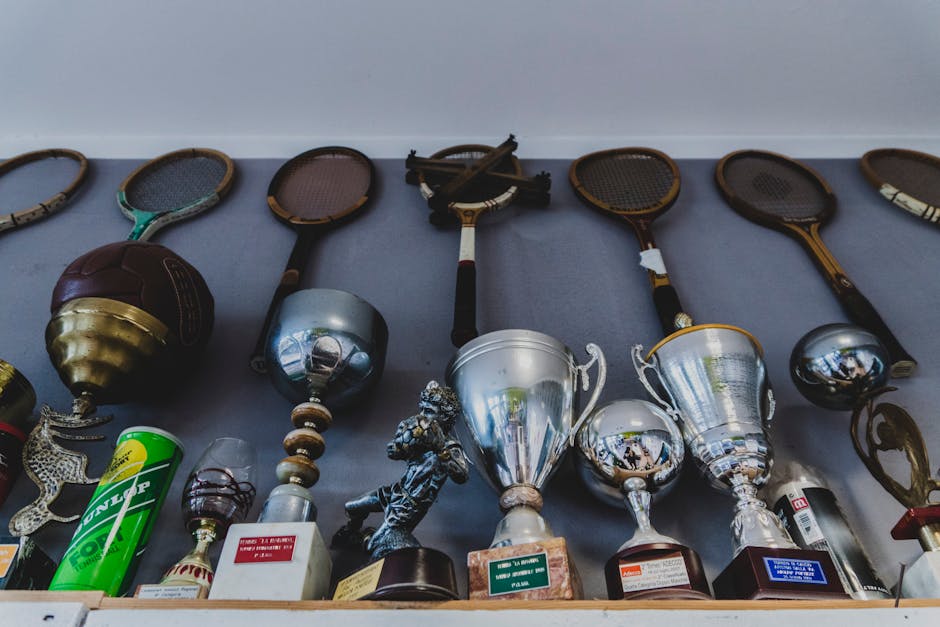 România triumfă la Summer Cups: echipa U12 câștigă trofeul în Franța