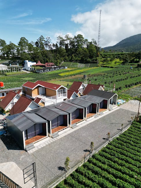 Culturile de nișă: soluția ecologică pentru fermierii din Giurgiu-Ruse