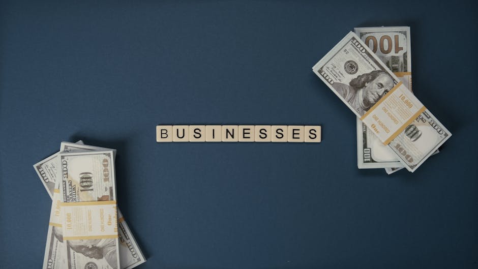 100 de milioane de euro pentru românii din diaspora care doresc să investească acasă