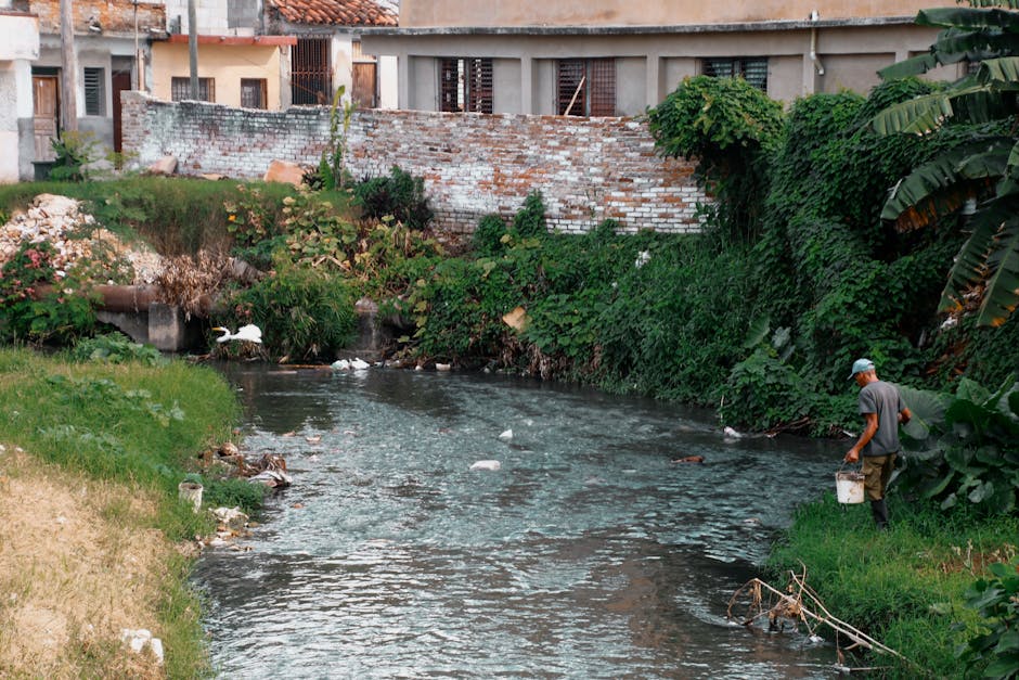 Îmbunătățirea calității apei în Dragomirești cu ajutorul unei donații semnificative