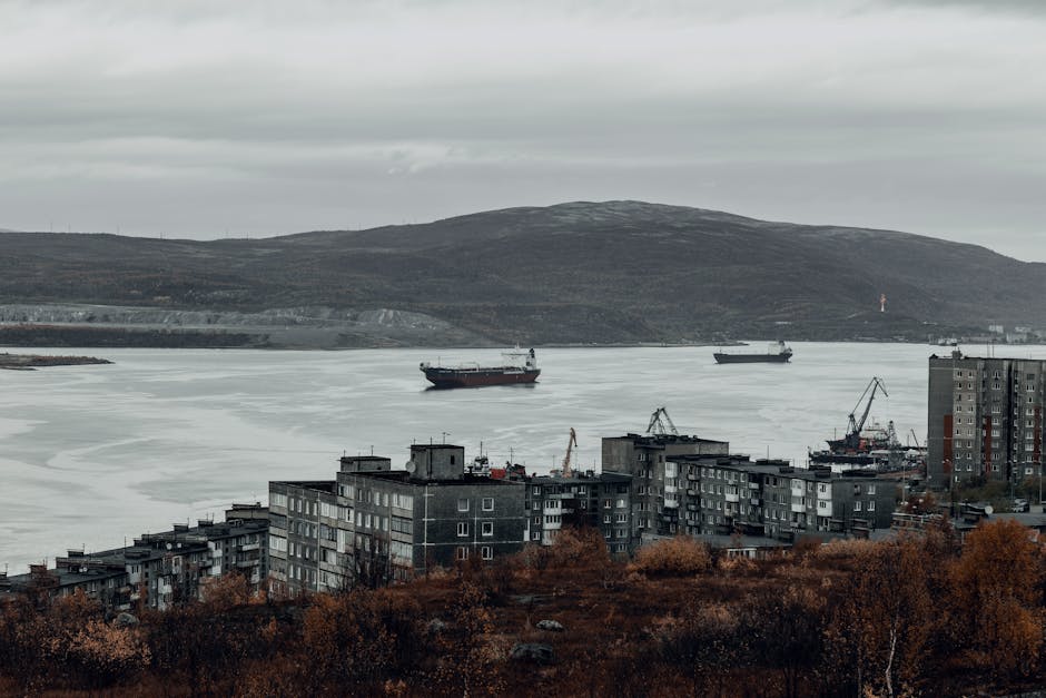 România, vulnerabilă în fața amenințărilor rusești pe Flancul estic și în zona arctică