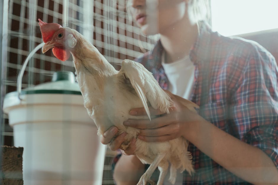Povestea inspiratoare a Corinei: între fermă și medicină veterinară
