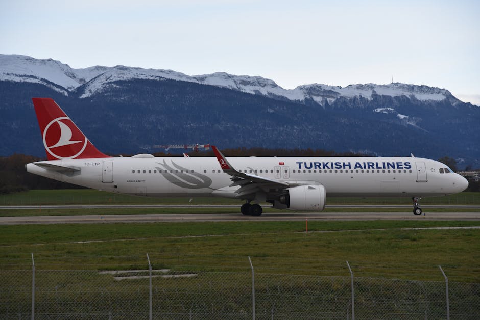 Catastrofa aviatică a zborului 981 Turkish Airlines: o tragedie în istoria aviației