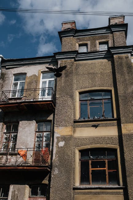 Transformarea unei clădiri abandonate din Satu Mare: proiect ambițios în derulare