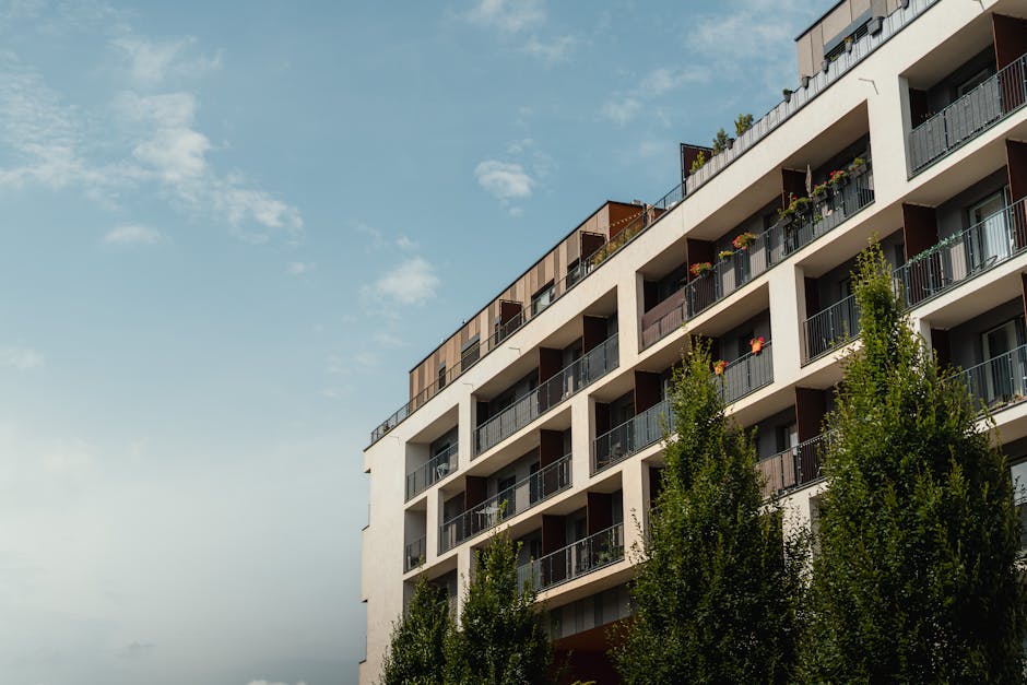 Alezzi Citadine: revoluția urbană din Constanța