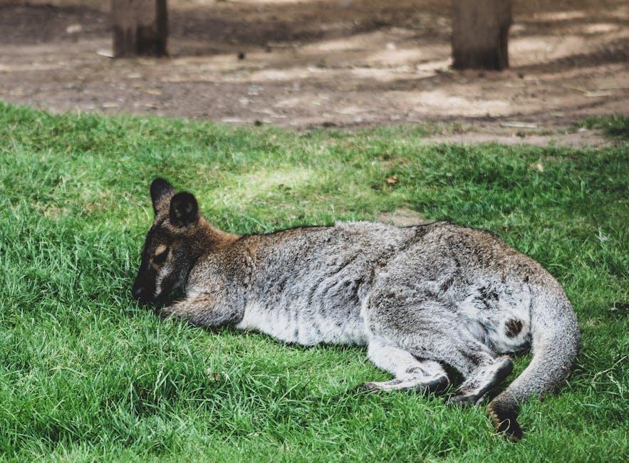 Descoperă natura prin obiectivul fotografilor la Zoo Târgu Mureș