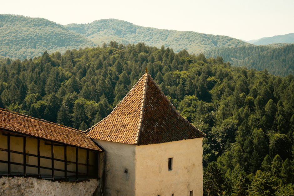 Descoperă povestea incredibilă a lui Badea Cârțan, eroul cărților din Transilvania