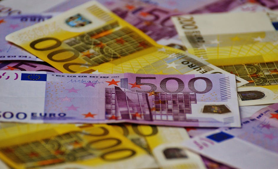 Euro at its lowest in 17 months: France's financial woes raise concerns