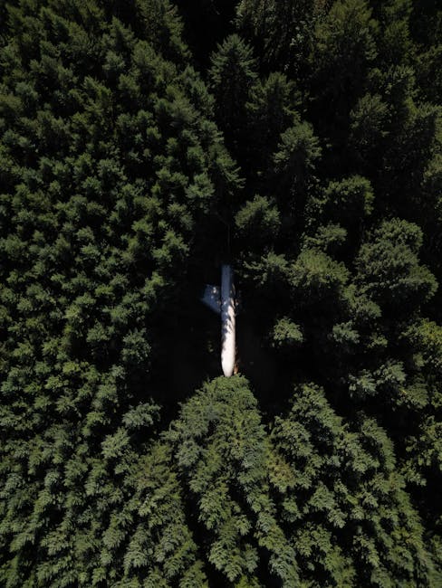 Tragedie în Germania: Un avion s-a prăbușit pe o casă, o persoană confirmată decedată