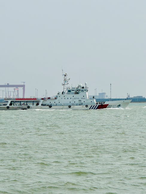 Descoperă noul lider al Autorității Navale Române și experiența sa impresionantă