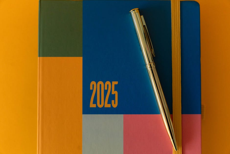 Anul școlar 2025-2026: ce trebuie să știi despre structura cursurilor și vacanțe