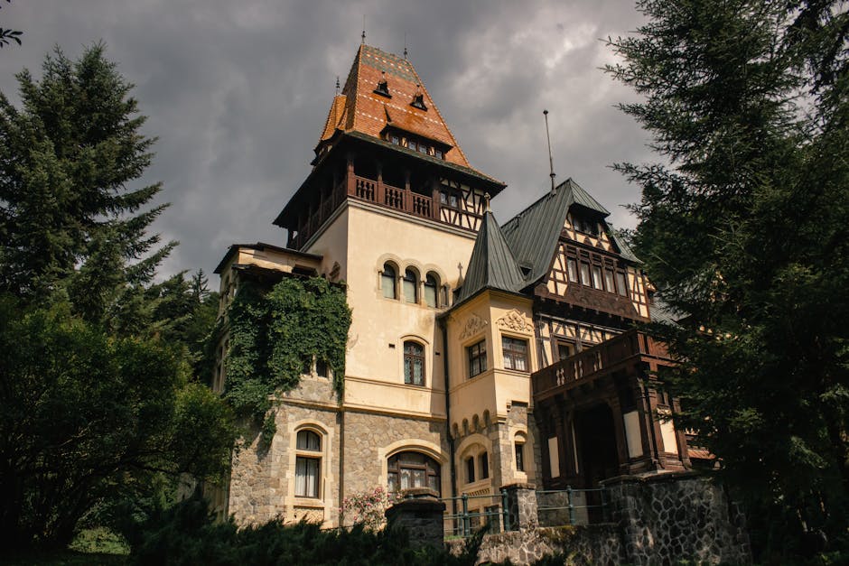 Politician din Iași acuză o conspirație globalistă împotriva proprietăților românești