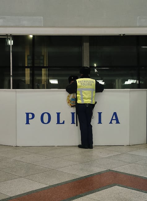IPJ Satu Mare clarifică gestionarea lemnelor de foc la posturile de poliție