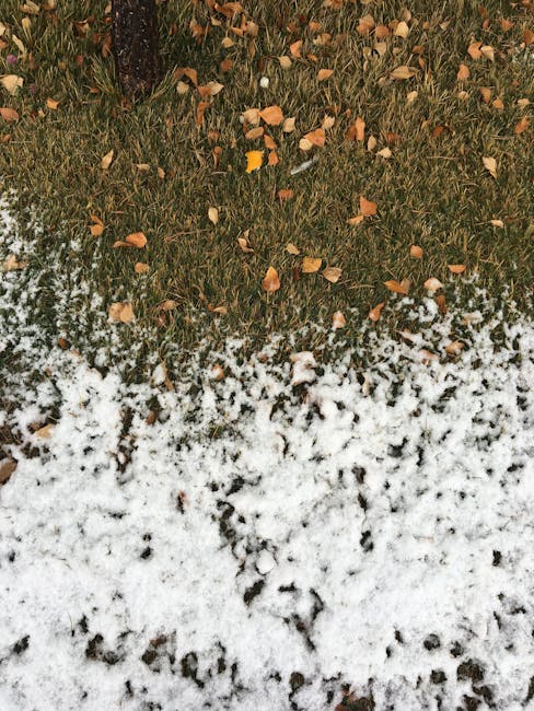 Iarnă surprinzătoare în toamnă: temperaturi record în Brașov și împrejurimi
