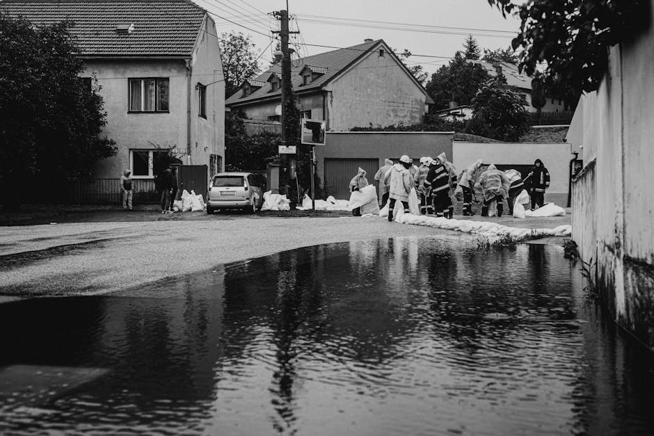 Furtunile devastatoare: daune semnificative în 16 județe din România
