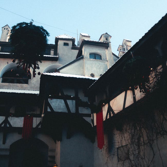 Dracula Film Festival 2026 promite o ediție memorabilă la Brașov