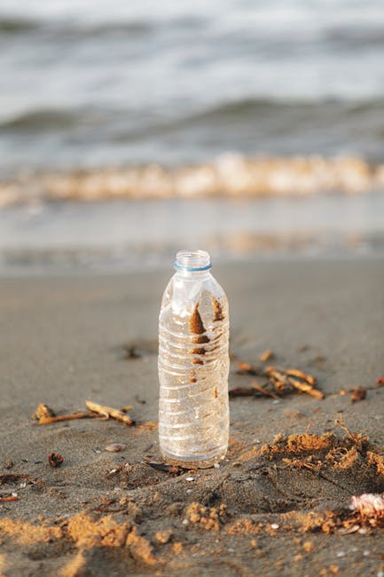 Pe plajă pentru reciclare: cum turiștii sprijină curățarea litoralului