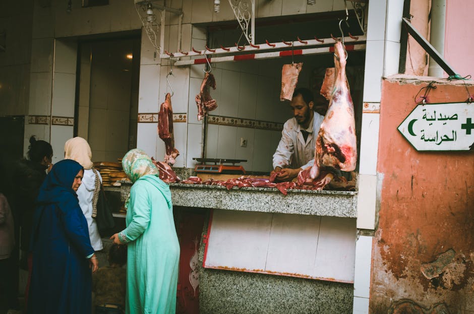 Descoperă cele mai influente firme din comerțul alimentar din Satu Mare