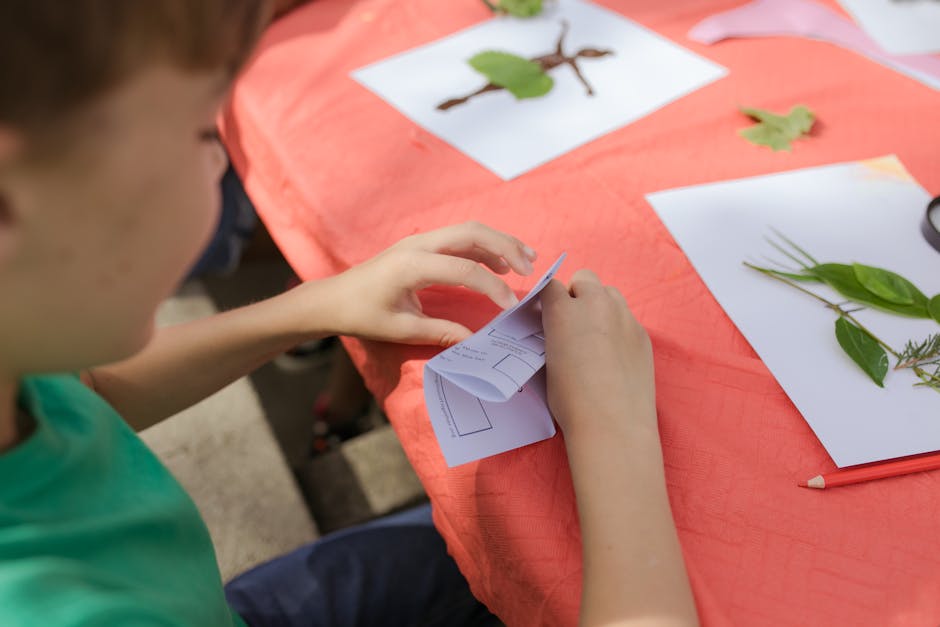 Tabere gratuite pentru copii din Buzău: o experiență de neuitat în natură
