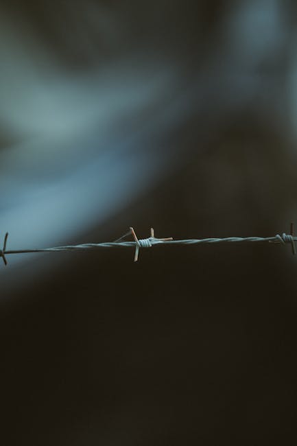 Polonia își închide granița cu Belarus în urma manevrelor militare ruso-belaruse