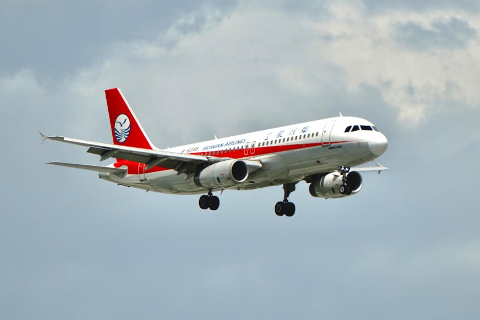 Tragedia aviatică din 1994: prăbușirea zborului China Airlines 140 la Nagoya