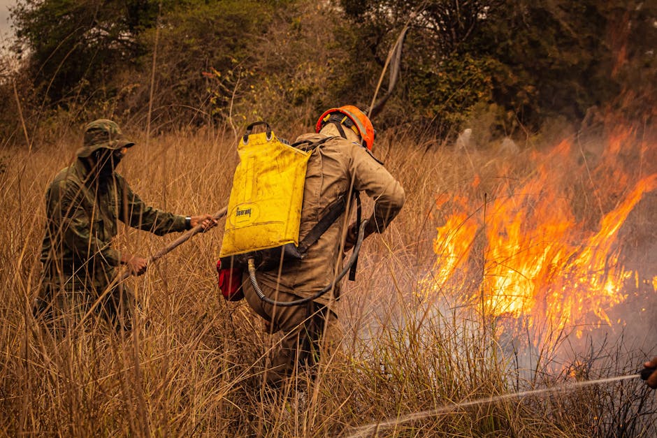 Incendiu devastator în Bălteni: pompierii intervin rapid pentru a controla flăcările