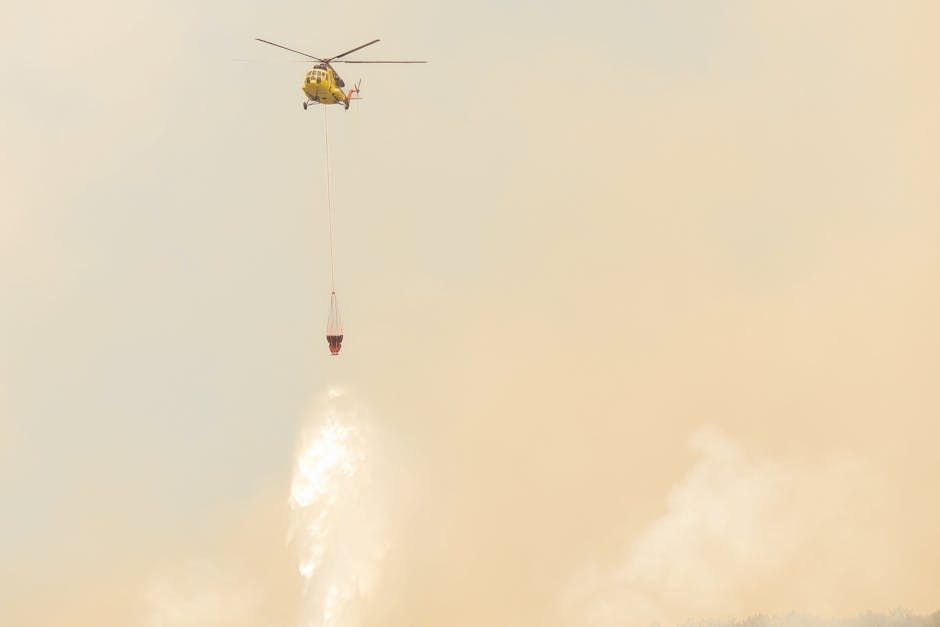 Incendiile din Domogled amenință zona: riscurile persistă