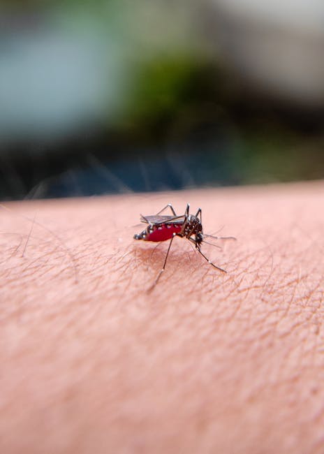 Alerta în Iași: o tânără diagnosticată cu virusul West Nile, investigații în curs pentru alte cazuri