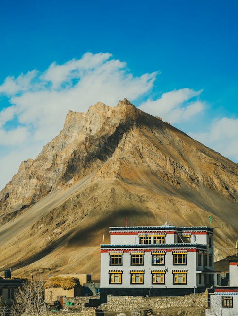 Descoperă pitulicea cu cap albastru: o comoară a naturii din Himalaya