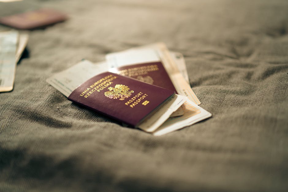 Capturi surpriză la frontieră: polițiștii depistează migranți fără acte la Giurgiu