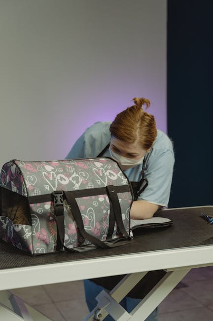 Castrări gratuite pentru câini și pisici în Runcu: Grăbește-te să îți programezi animalul!