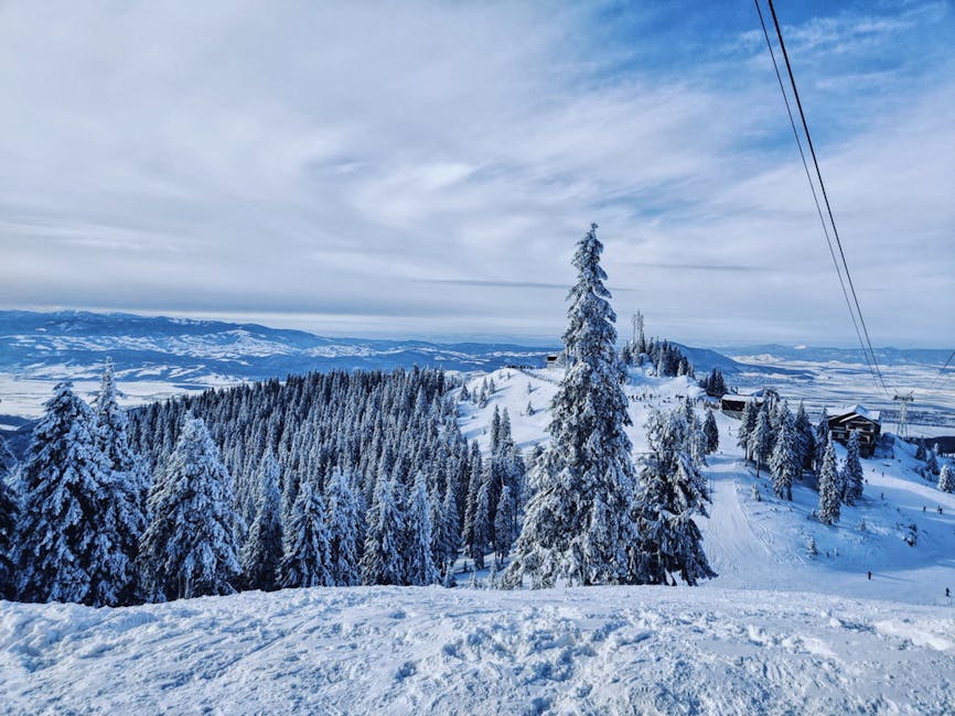 Îngrijorări legate de viitorul iernilor românești: Meteorologii anunță vremuri mai blânde