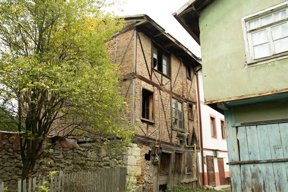 Descoperă Poiana Măgura: satul uitat care își recâștigă viața