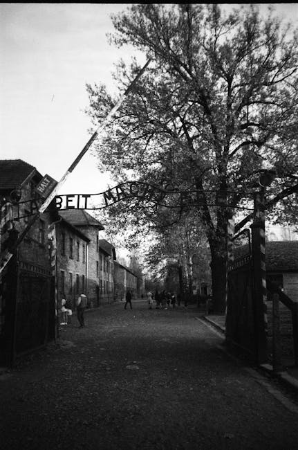 Povestea impresionantă a Raselei Koka Palmon, supraviețuitoare a Holocaustului