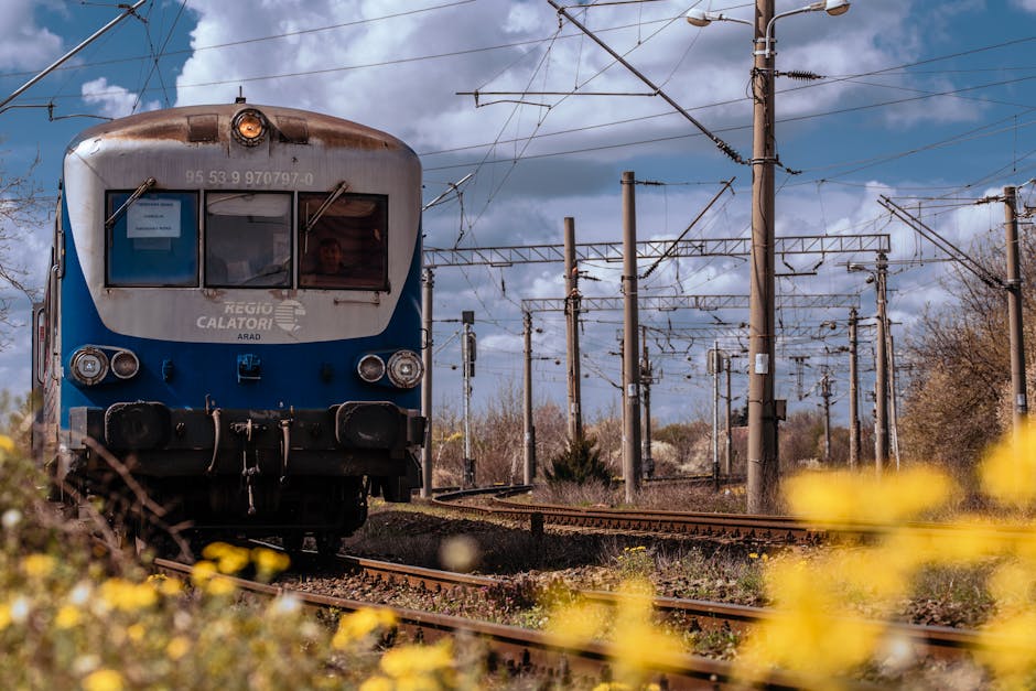 Exproprierile pentru modernizarea liniei feroviare Caransebeș – Timișoara – Arad au fost aprobate
