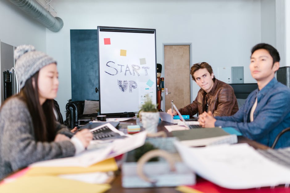 Nouă oportunitate pentru tineri: Start-Up Nation deschide sesiunea de înscriere