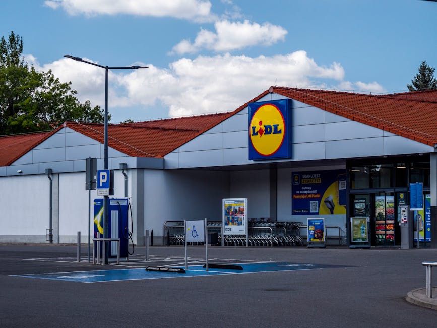 Reduceri surprinzătoare te așteaptă la Lidl Buzău! Economisește acum cu Lidl Plus