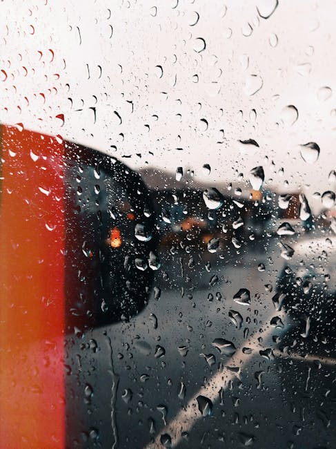 Descoperă prognoza meteo pentru toamnă: Ce ne așteaptă între 15 septembrie și 13 octombrie 2025?